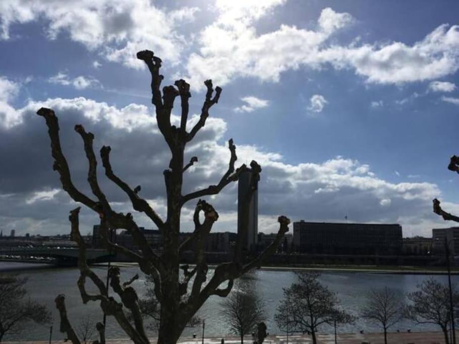 La Cathedrale - Vue Sur Seine Rouen Exterior foto